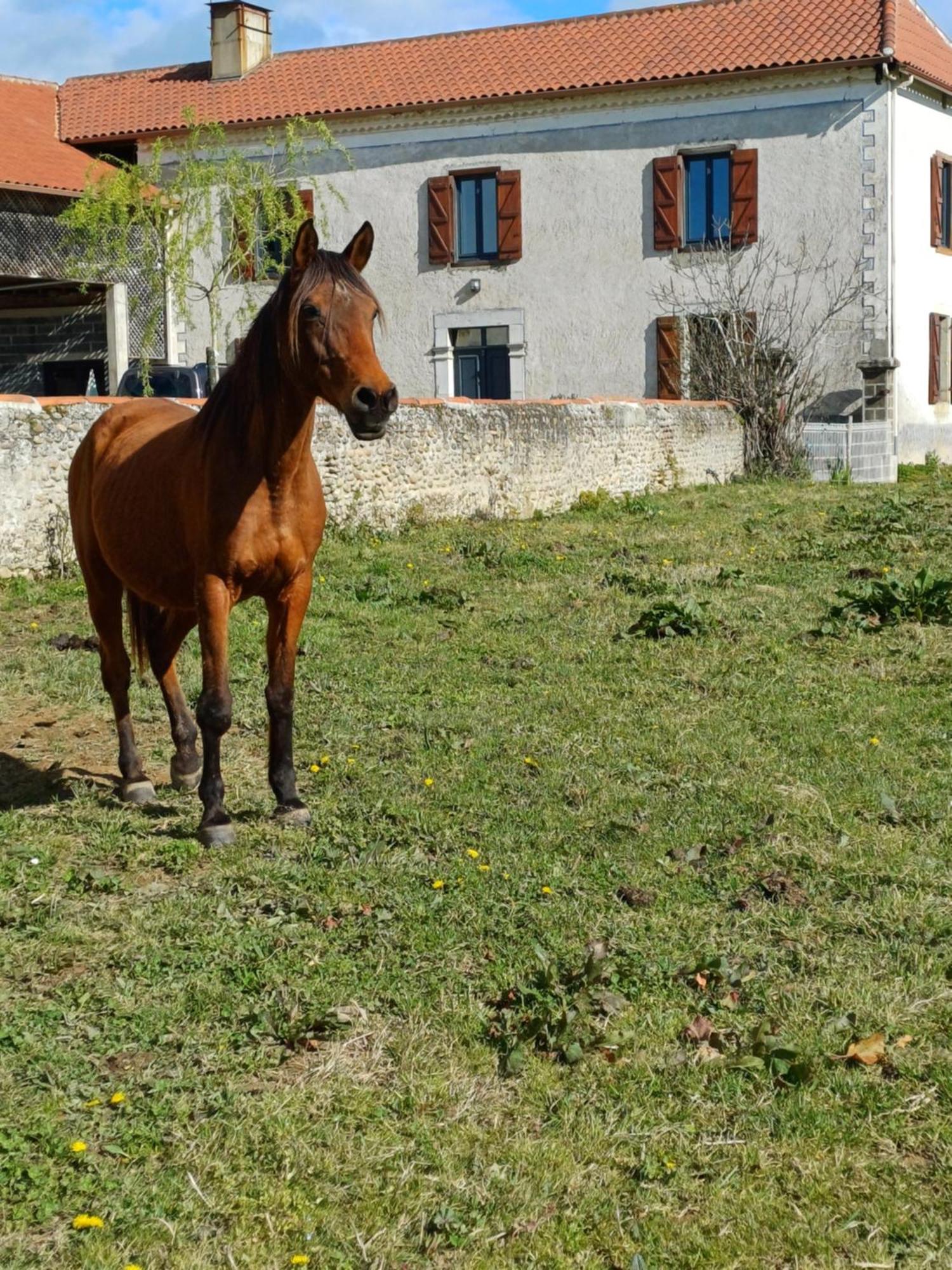 Des Racines Et Des Reves Vidou